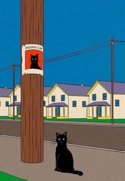 gregorio catarino tweet media