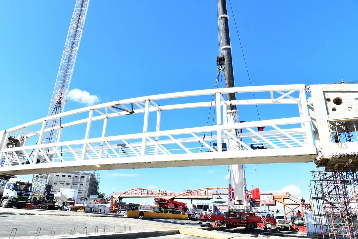 Dario Alexander tweet media