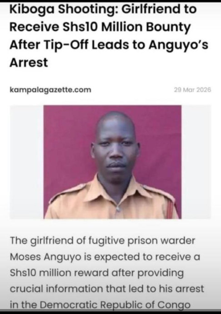 •WABOYA• tweet media