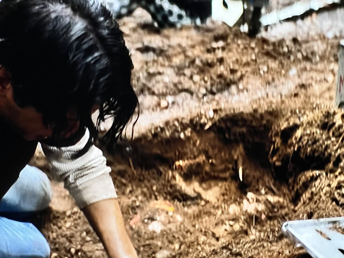 Yellowjackets Cornplate tweet media