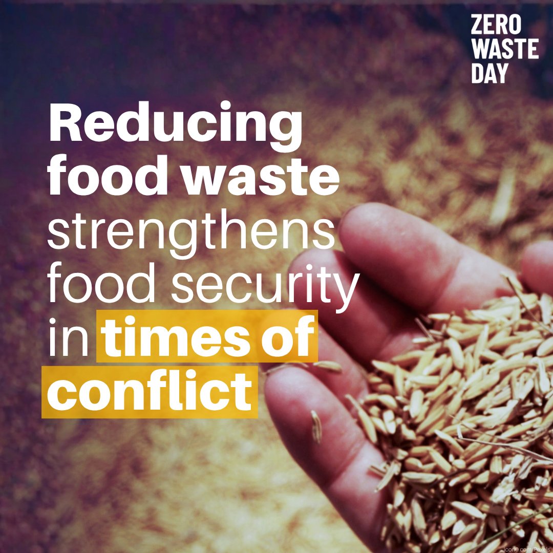 UN Environment Programme tweet media