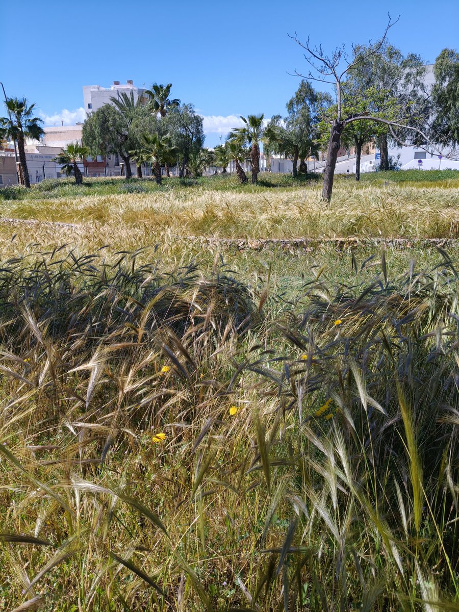 Antonio Fernández tweet media