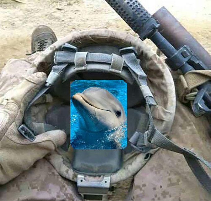 Giga Groid tweet media