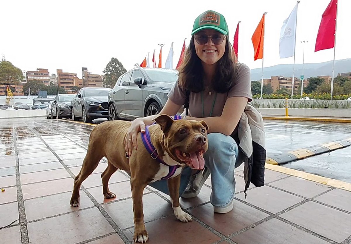 Protección Animal Bogotá tweet media