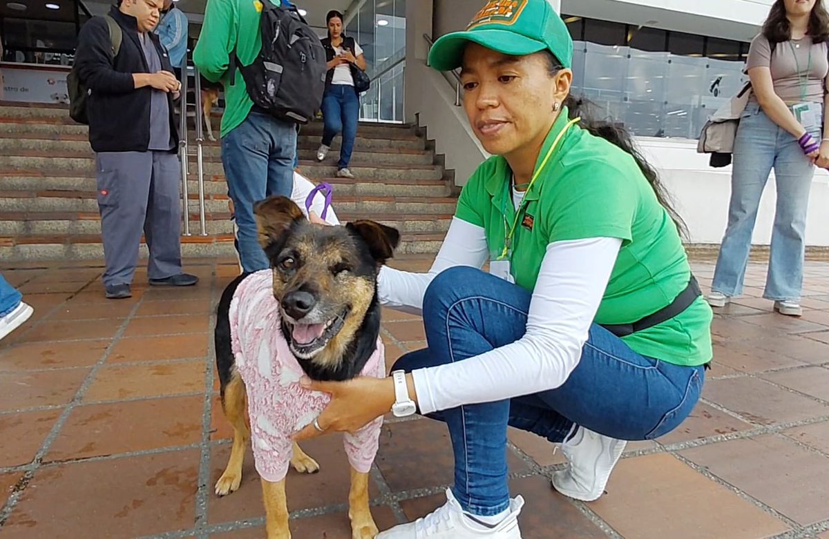 Protección Animal Bogotá tweet media
