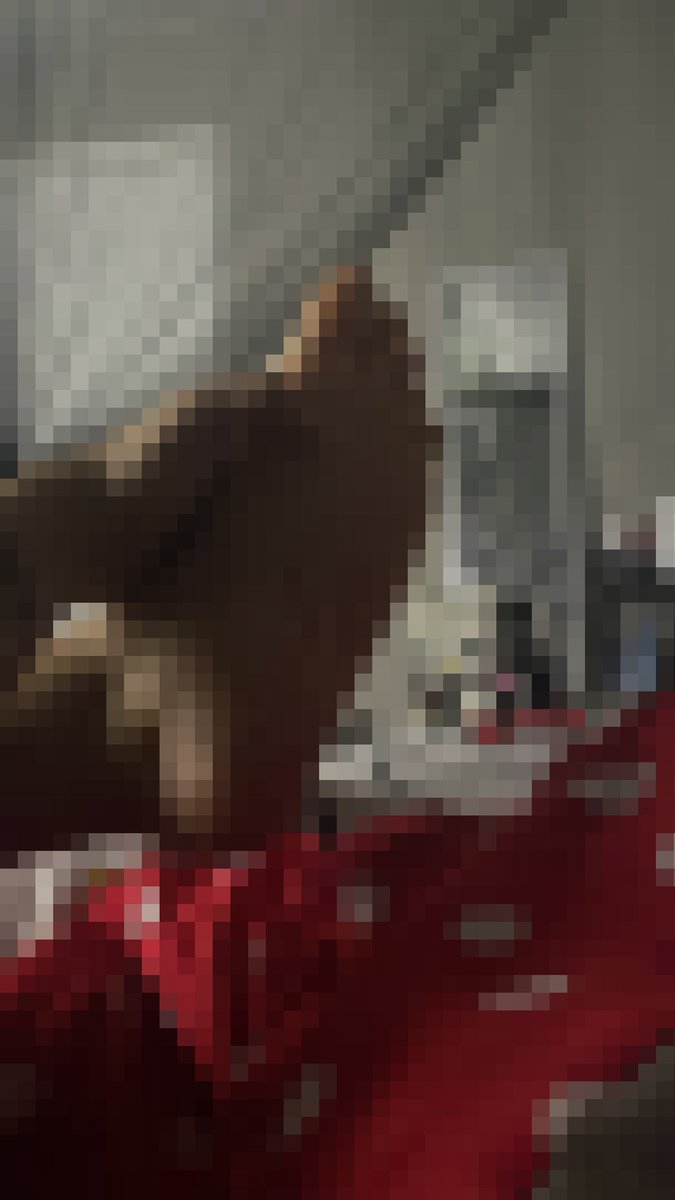 urfavaltgirl:3 tweet media