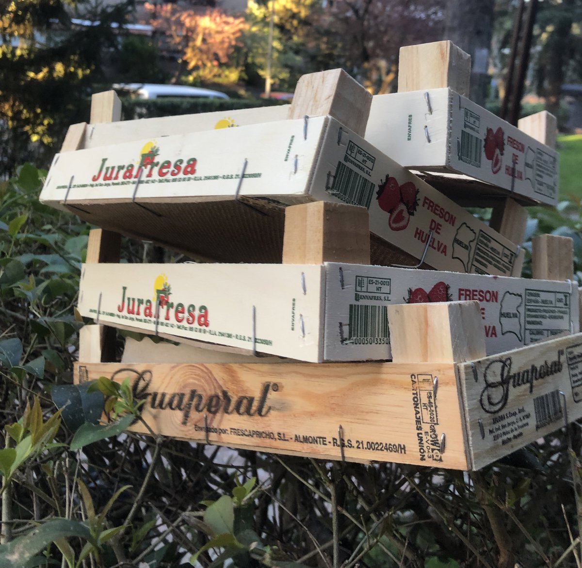 Jorge Corrales tweet media