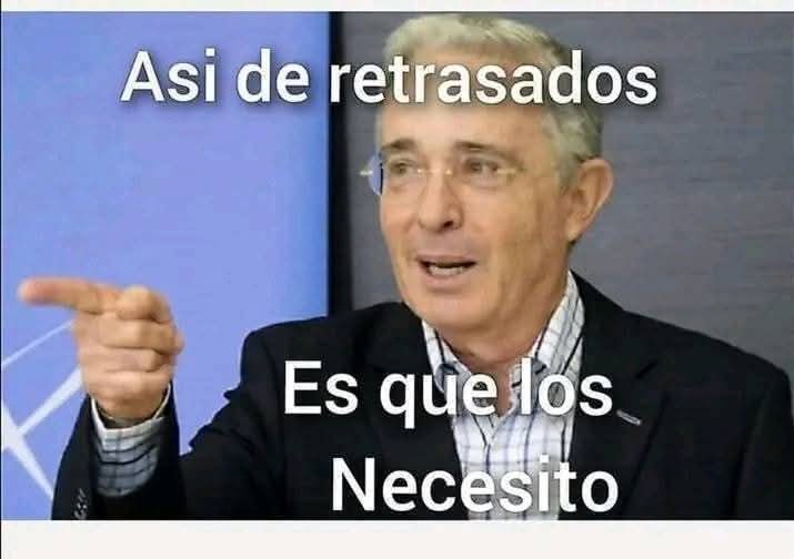 lasiempreviva endemika tweet media