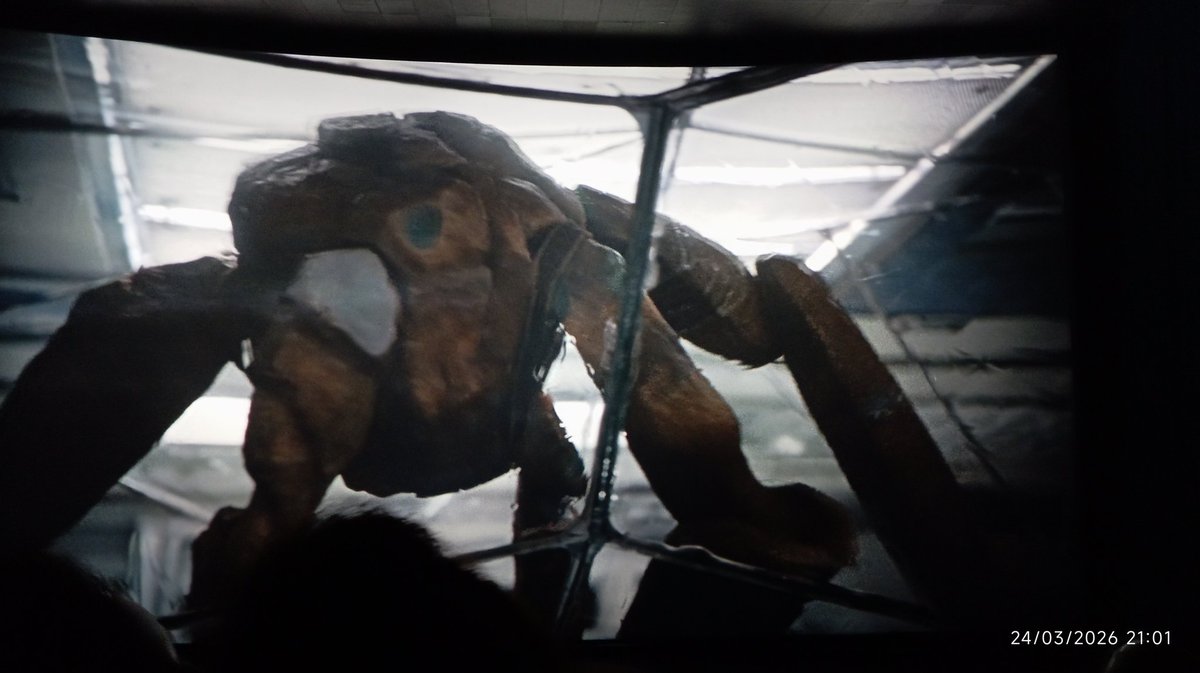 S. Vanessa C. tweet media