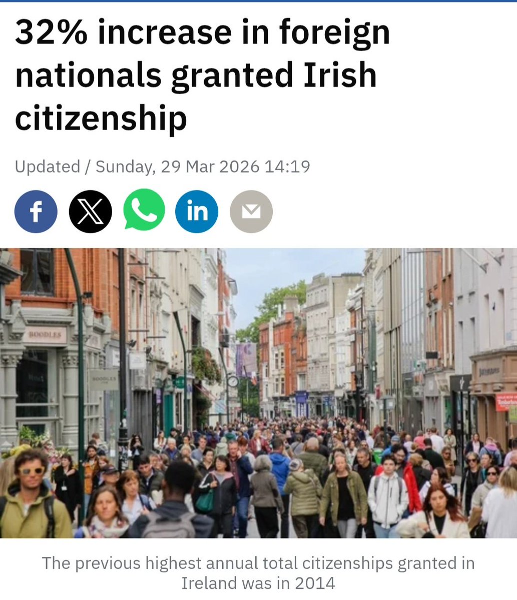 Patrice Johnson 🇮🇪 tweet media