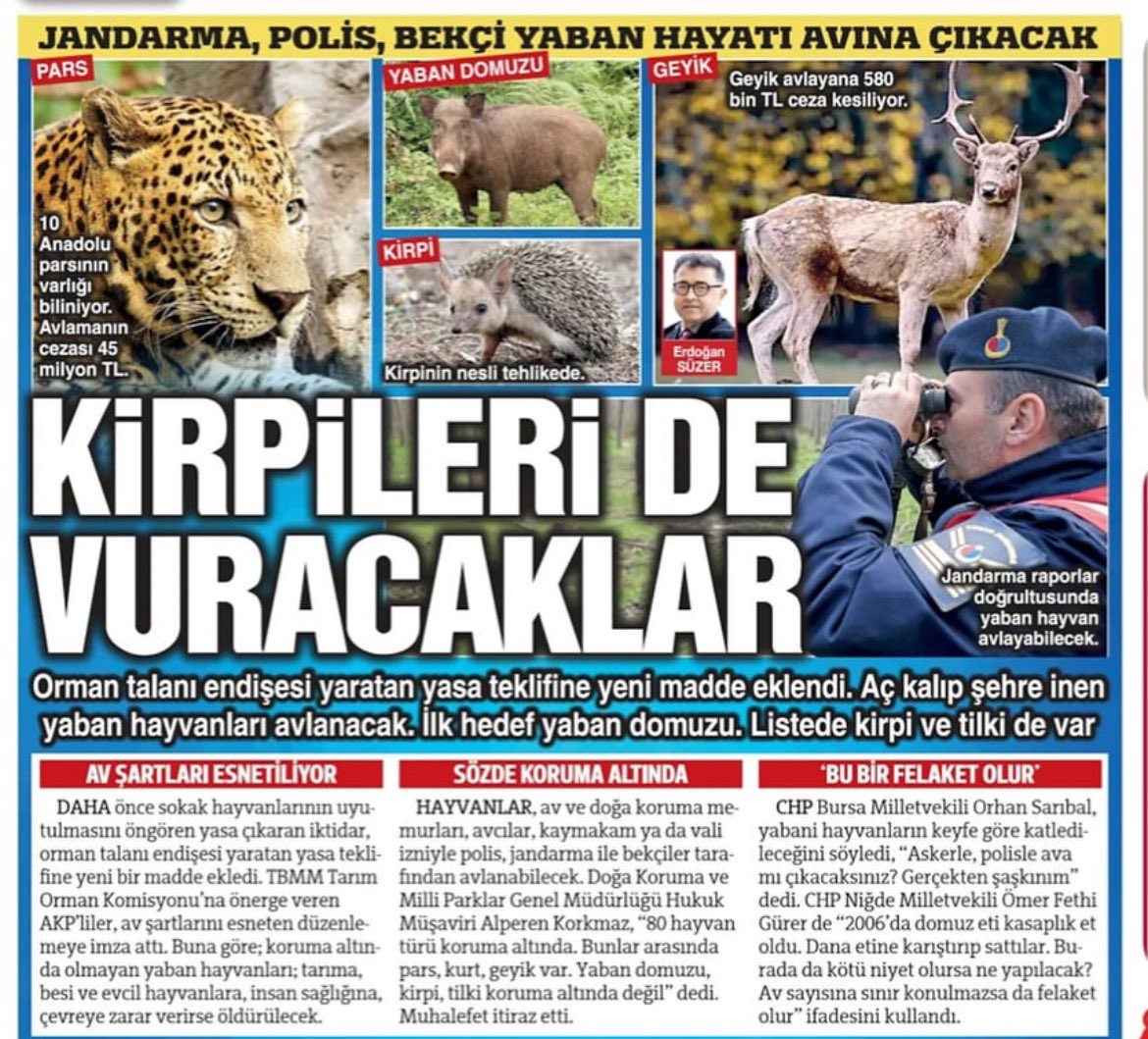 Samet Zeybek tweet media