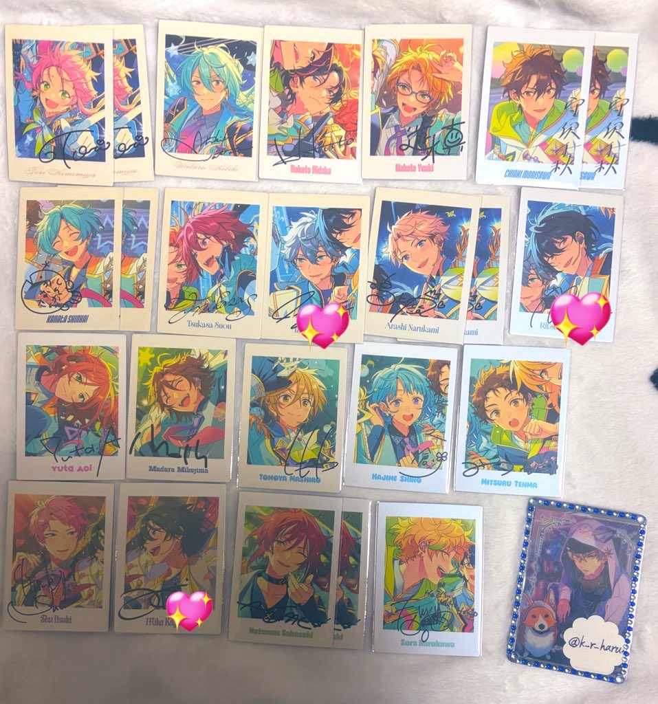 HARU🐾 tweet media