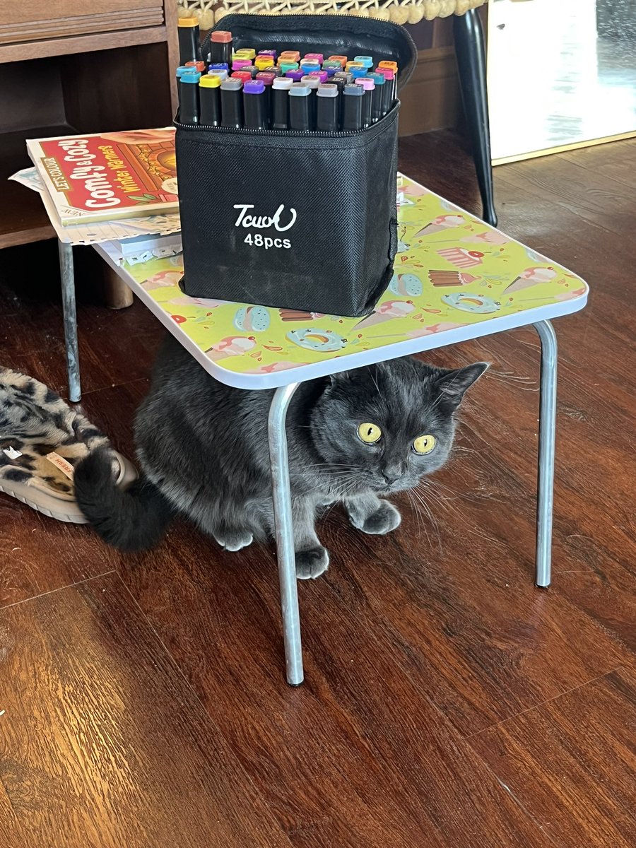 KJ🔻☆ tweet media