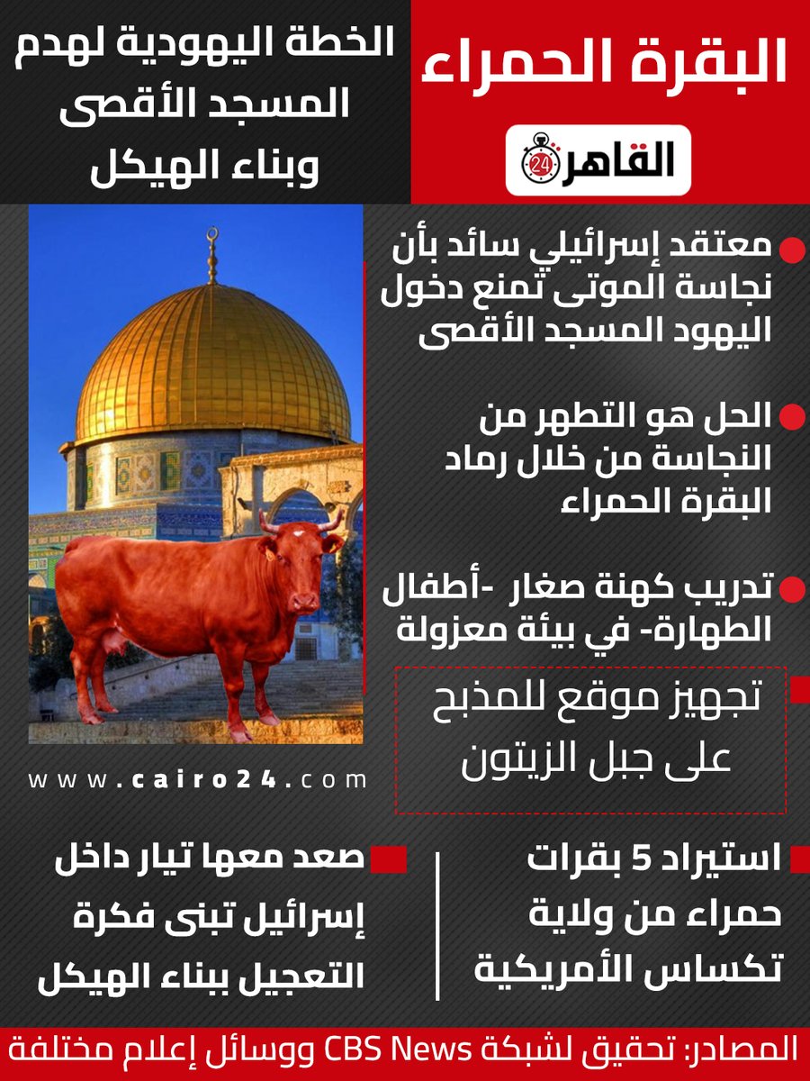 Cairo 24 - القاهرة 24 tweet media