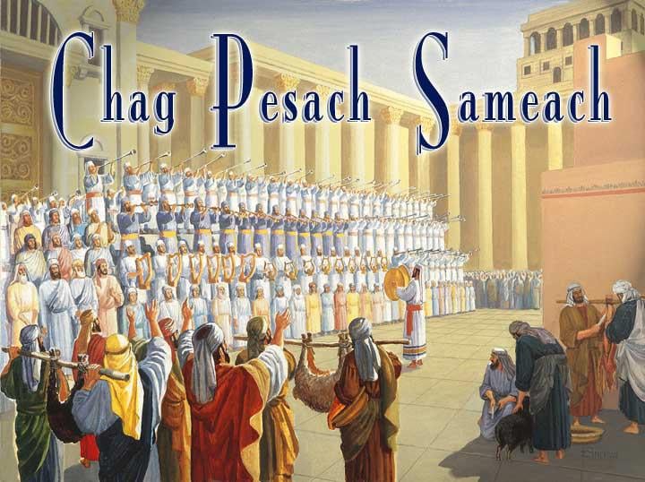 SAMUEL SALDANA tweet media