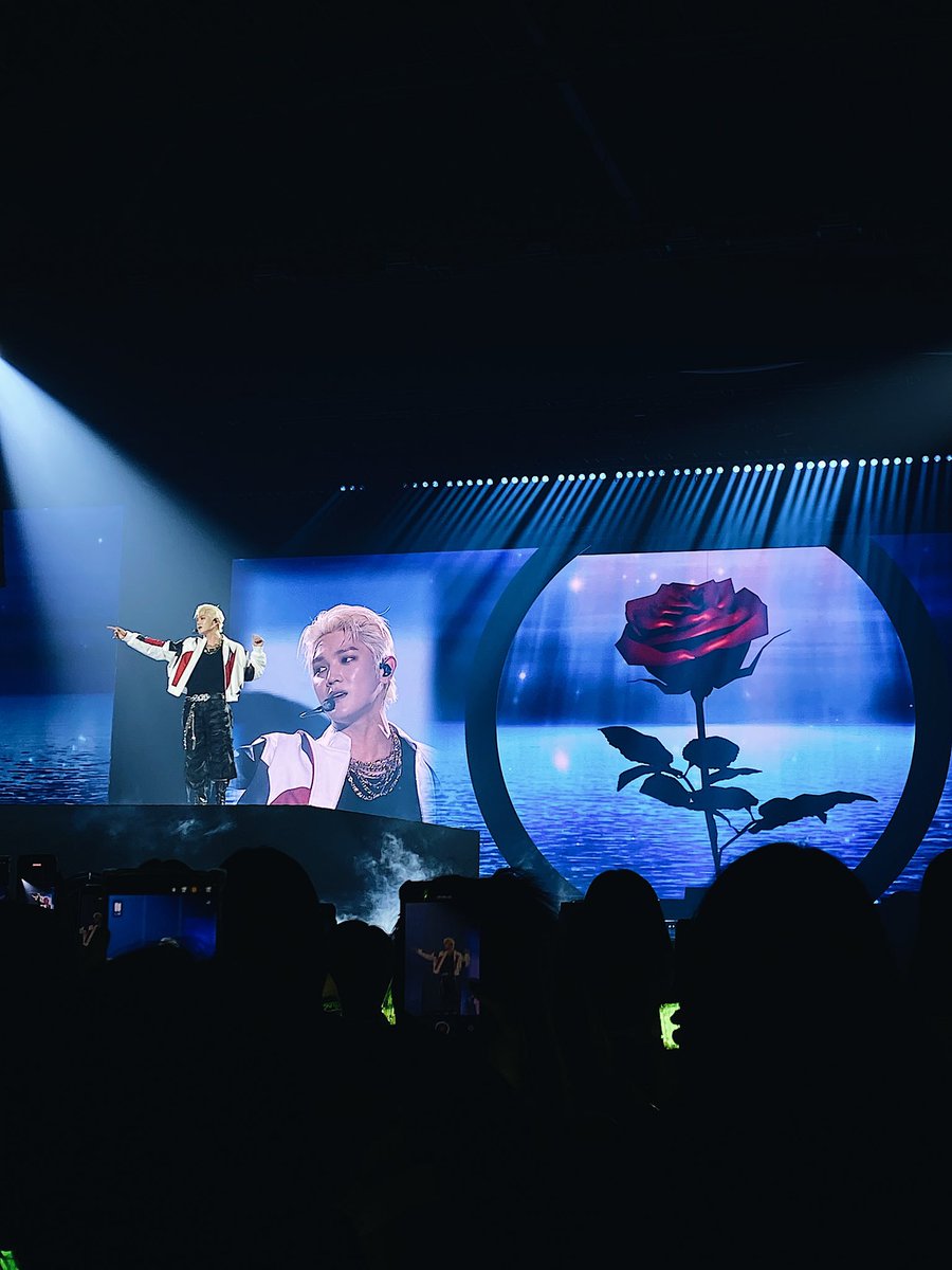 🐢🌻🌹P. ◡̈ tweet media