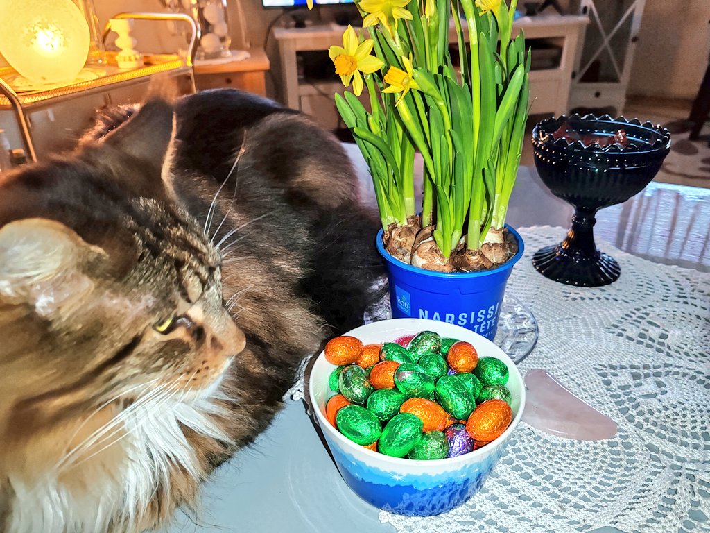 Mari Lind tweet media