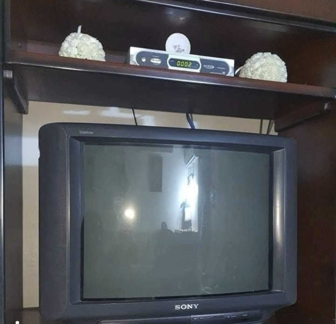 Leyla Kartop tweet media