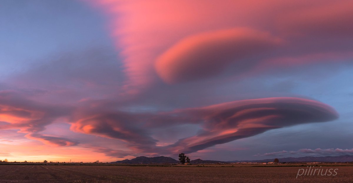 piliriuss's tweet image. Més imatges de la terra del vent. Tenim la medalla 🏅 d'or. #lenticulars del #deltadelebre #meteofoto @3CatInfoelTemps @mauri_francesc @MeteoBarrufet