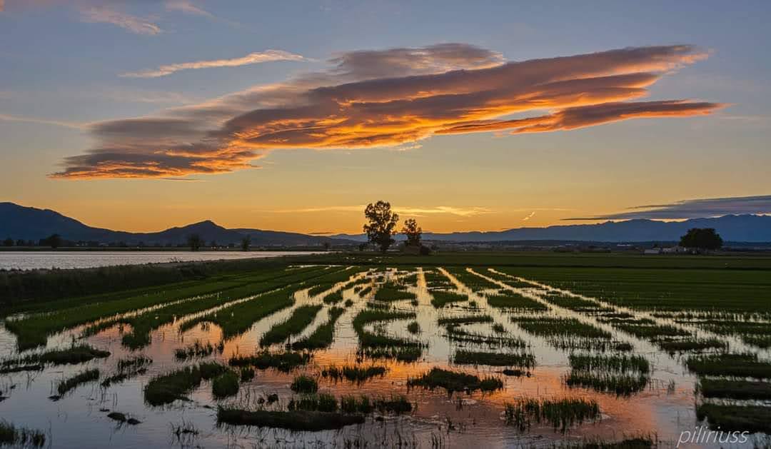 piliriuss's tweet image. Més imatges de la terra del vent. Tenim la medalla 🏅 d'or. #lenticulars del #deltadelebre #meteofoto @3CatInfoelTemps @mauri_francesc @MeteoBarrufet