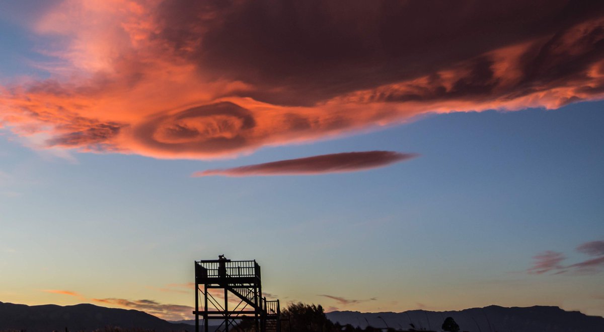 piliriuss's tweet image. Més imatges de la terra del vent. Tenim la medalla 🏅 d'or. #lenticulars del #deltadelebre #meteofoto @3CatInfoelTemps @mauri_francesc @MeteoBarrufet