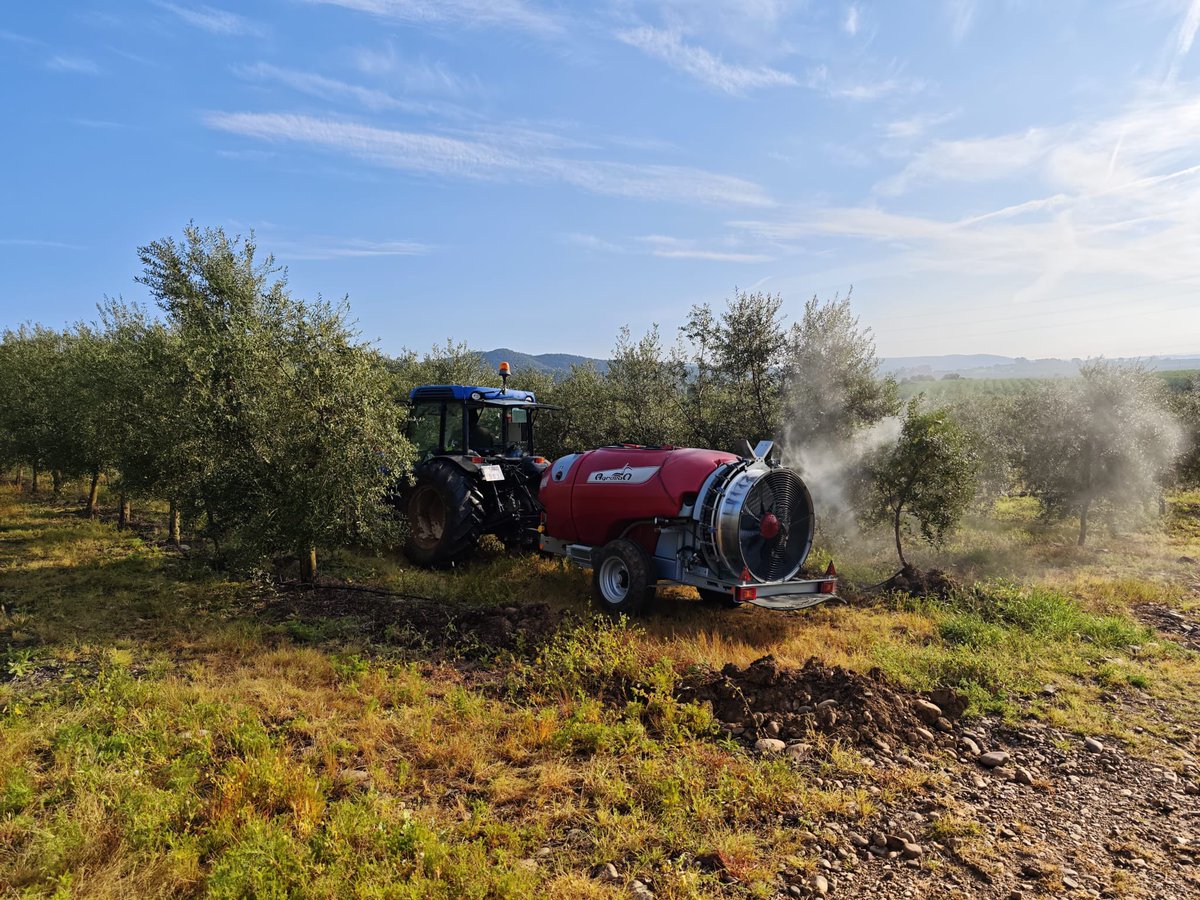 CatedraSipcam's tweet photo. 🗣️Comenzamos la campaña en olivar con el tratamiento de salida de invierno, una de las intervenciones clave para marcar el desarrollo del cultivo desde el inicio del ciclo. https://t.co/M2FKHTydNB