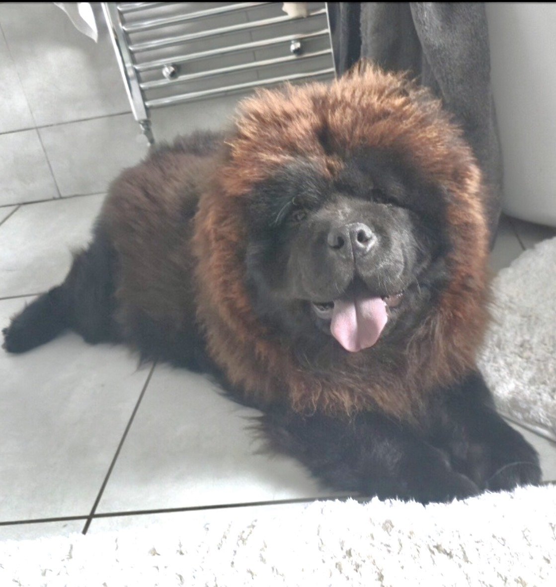 chris towers tweet media