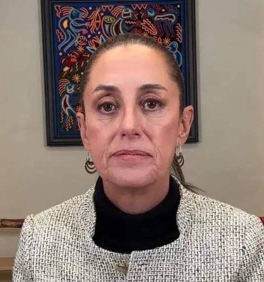Imagínate pedirle a un arquitecto que te haga tu casa, pagaste por ello y al final hay cosas que no te convencen a lo que lo único que se le ocurre es llamarte “pendejo ignorante”. 

Así se ven varios analistas y periodistas que prefieren defender al producto <a href="/miseleccionmx/">Selección Nacional</a>