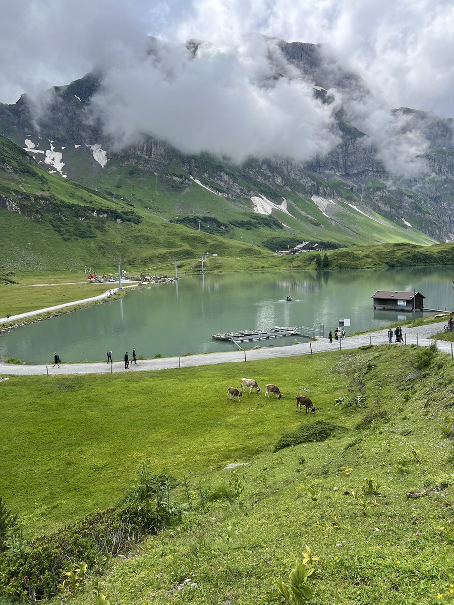 Abdulmajeed 🇸🇦 tweet media