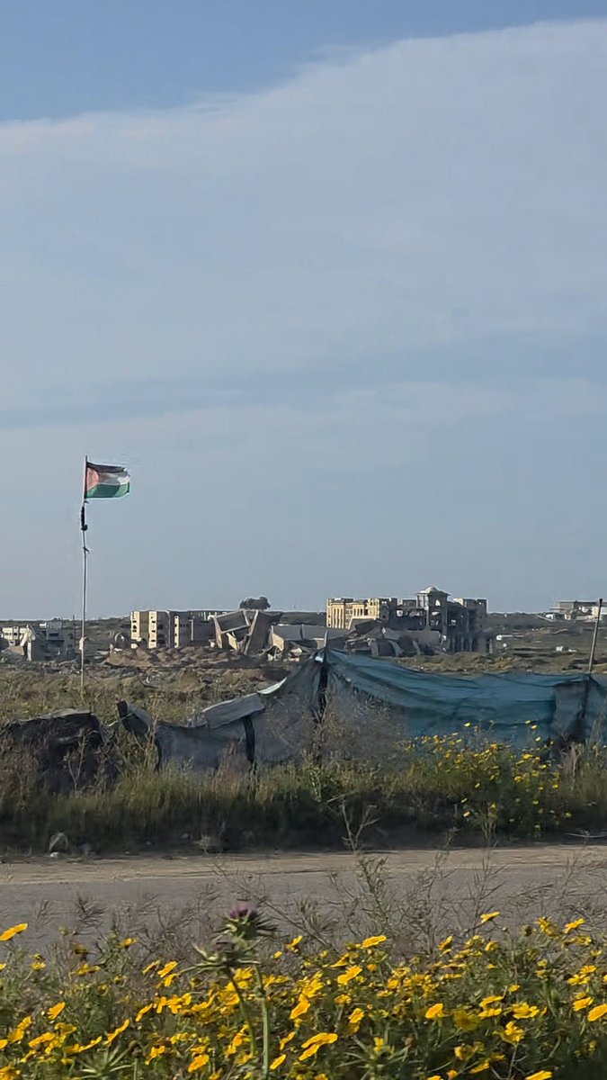 Mahmoud Massri | مَحْمُود 🇵🇸 tweet media