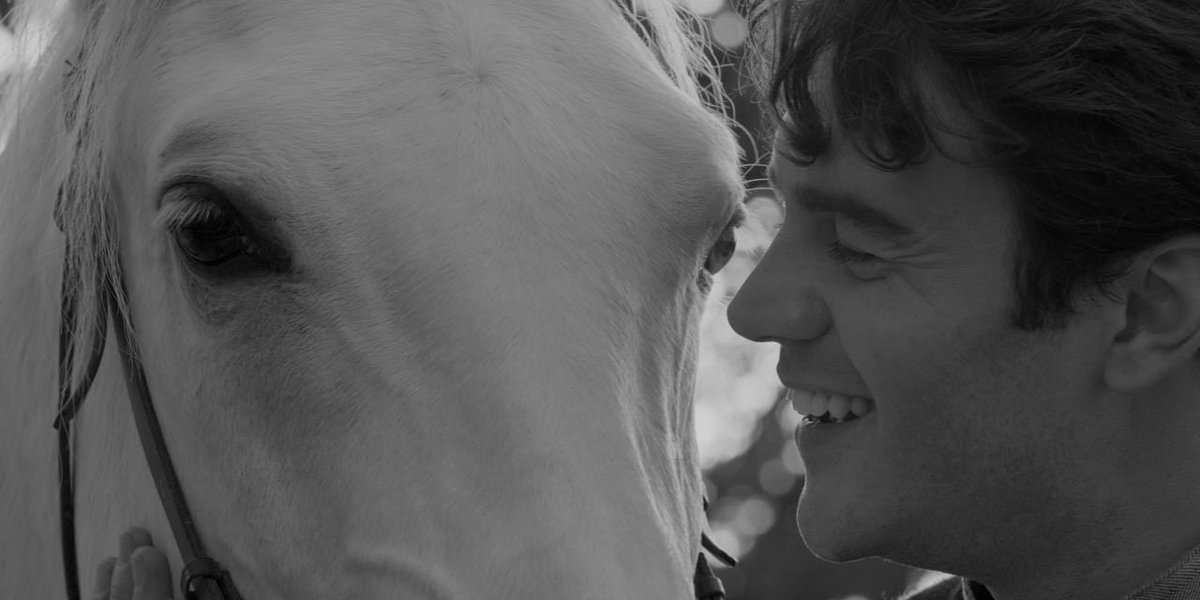 İsmail Ege Şaşmaz tweet media