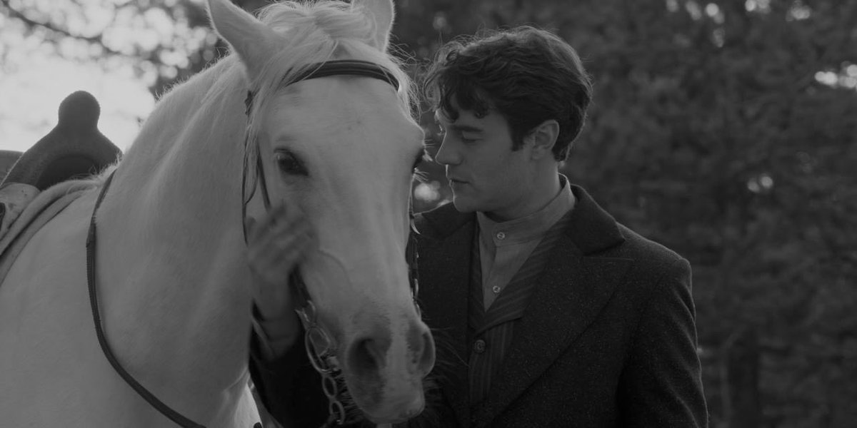 İsmail Ege Şaşmaz tweet media