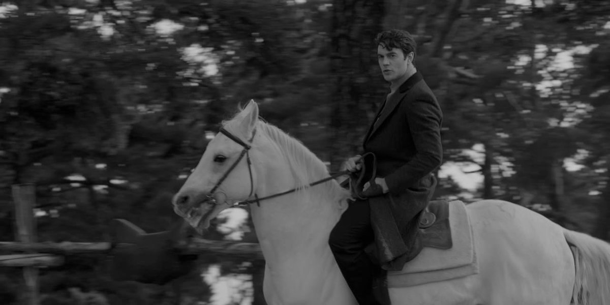 İsmail Ege Şaşmaz tweet media