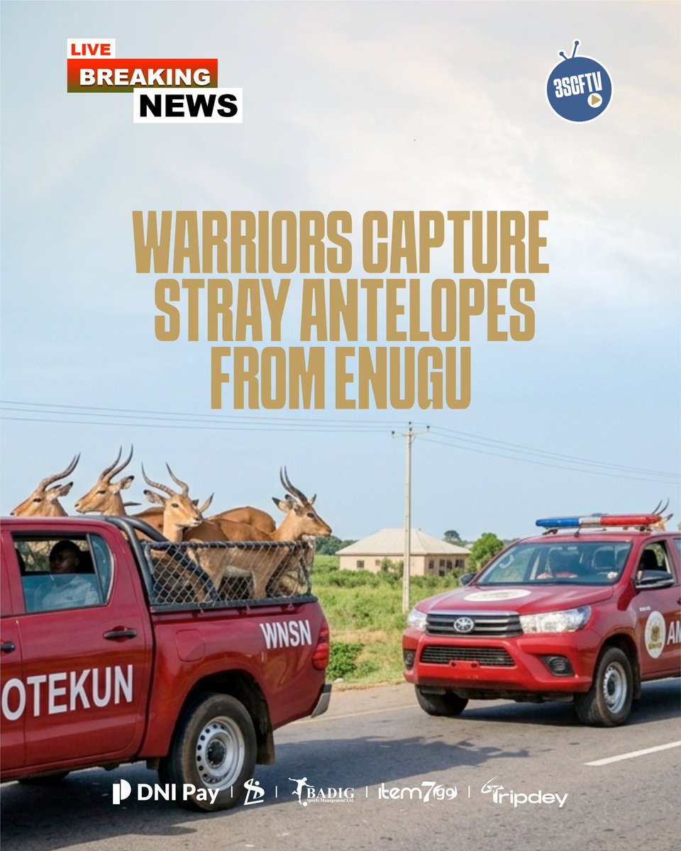 3SCFansTV tweet media