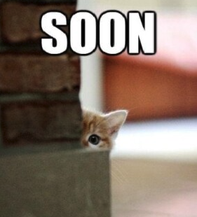 justinmk tweet media