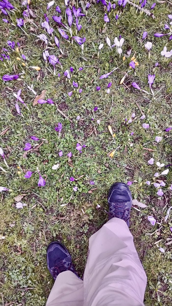 Paul ~ Head of Ink Spot Global 🇬🇧💌 tweet media