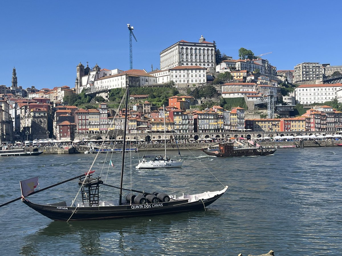 Carlos gil vieiro tweet media