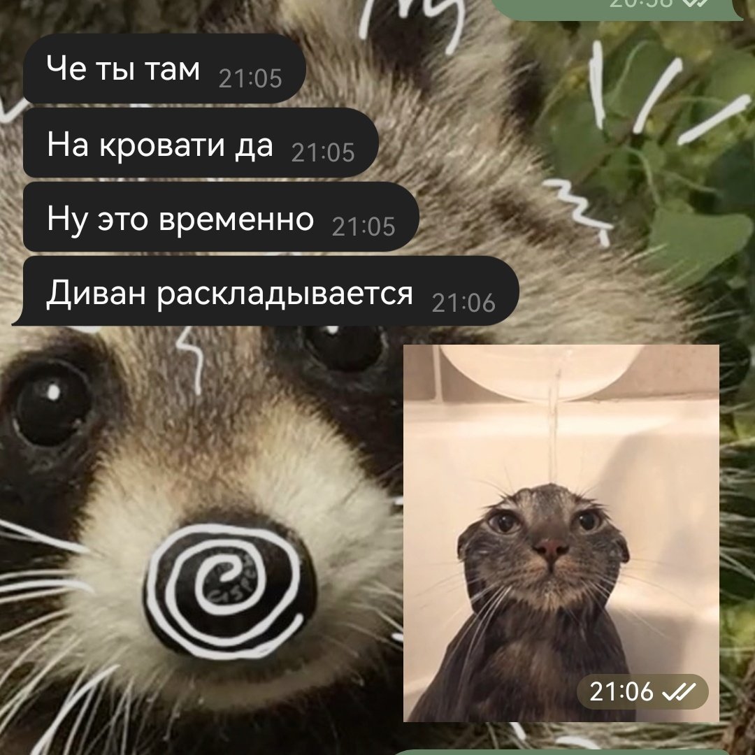 мияги эщкере tweet media