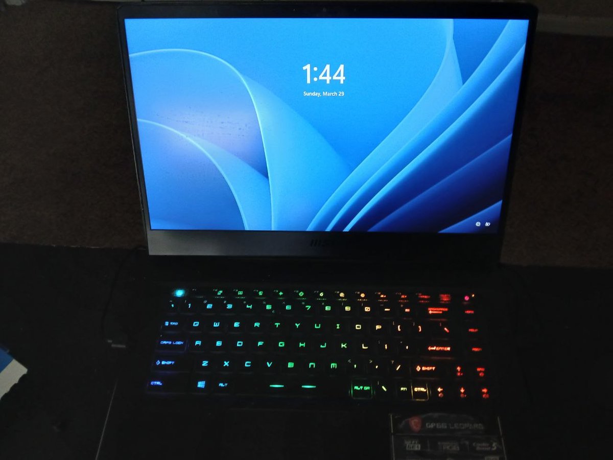 Natethehusky tweet media