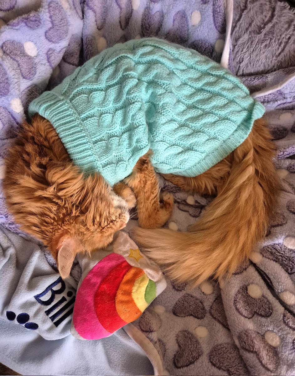 RED'S JEWELS tweet media