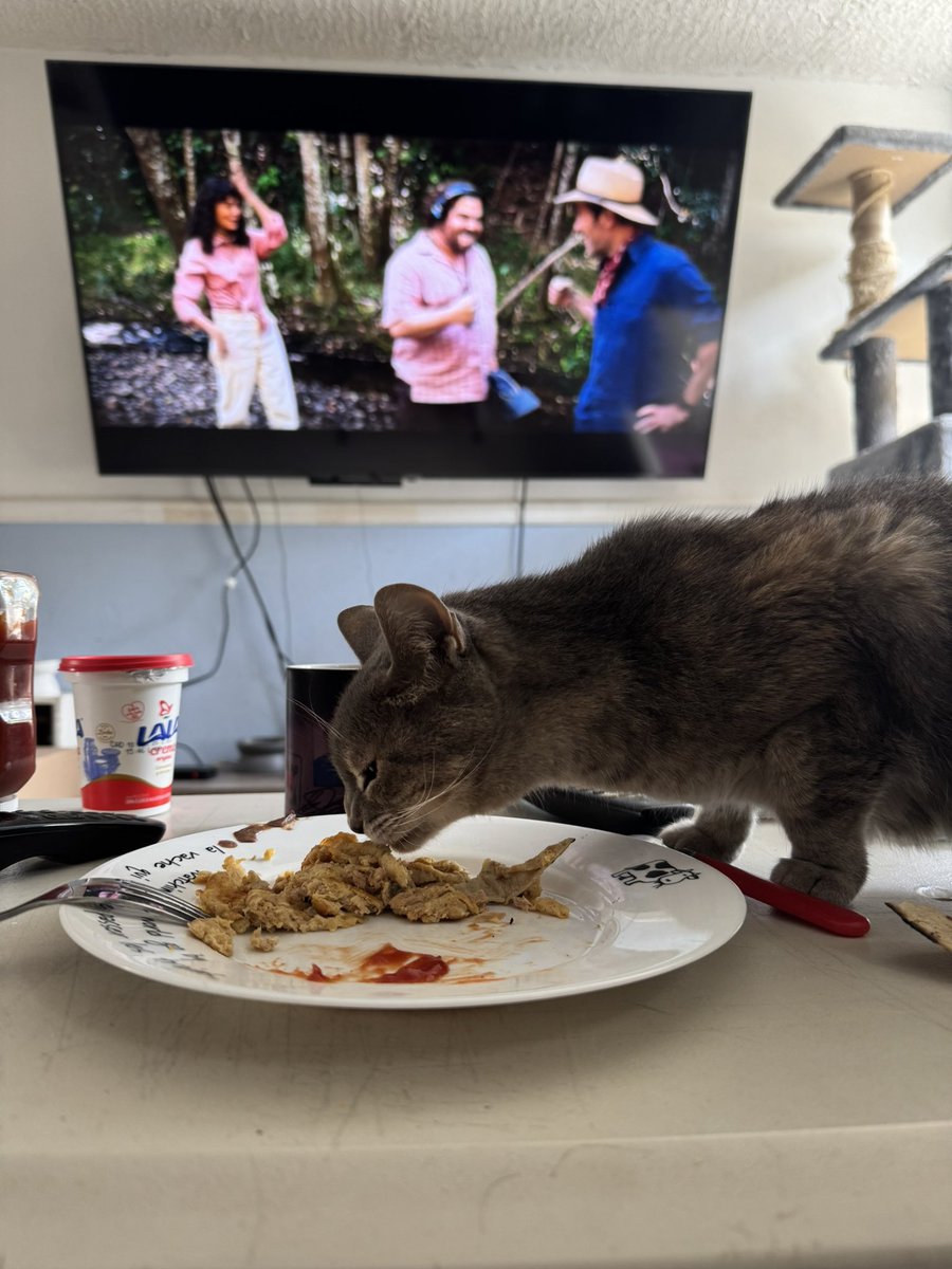 Nosotros los Gómez 🐱 tweet media