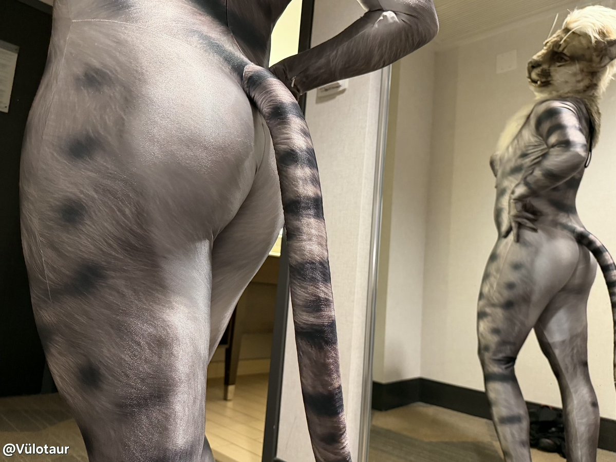 Vülo 🔜 TFF, FWA tweet media