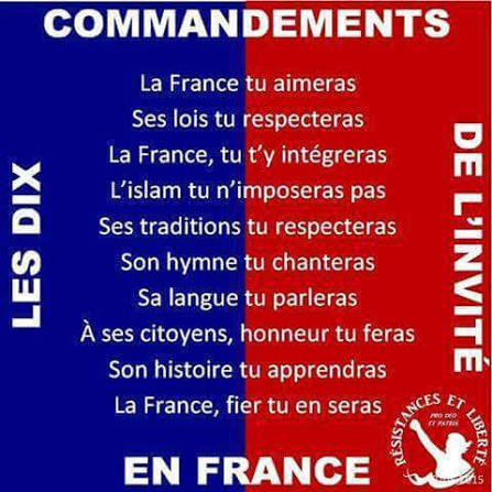 the-wolf-lone-multi-gaming tweet media