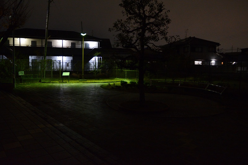 夜道　#風景
