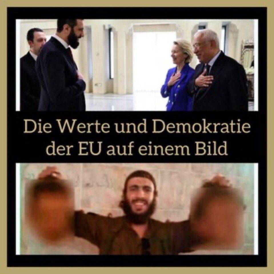 Alex Alex tweet media