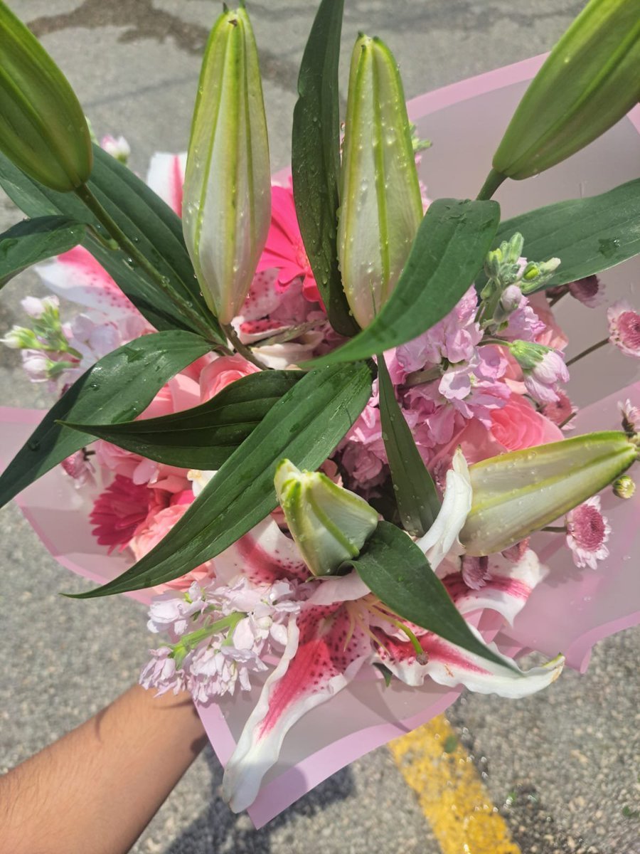 Rivi 🇪🇨 tweet media