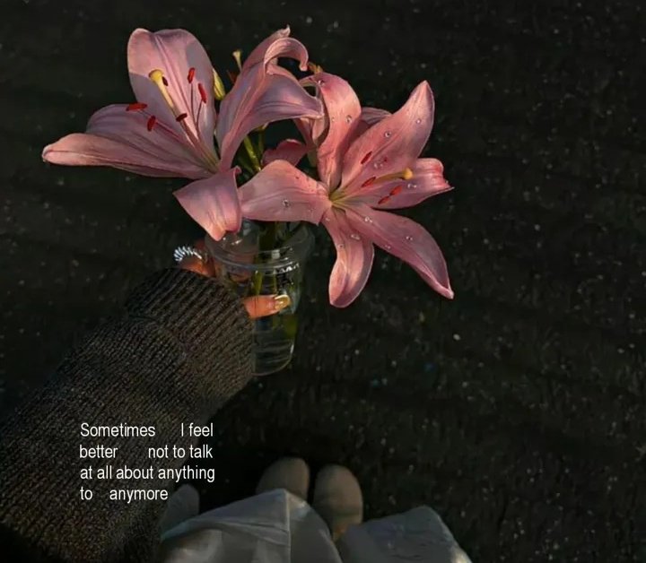 𝓚𝓲𝓶𝓼 𓃠 tweet media