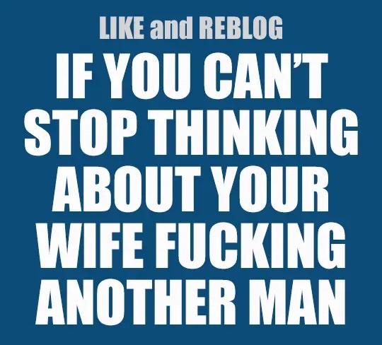 cuckandclean tweet media