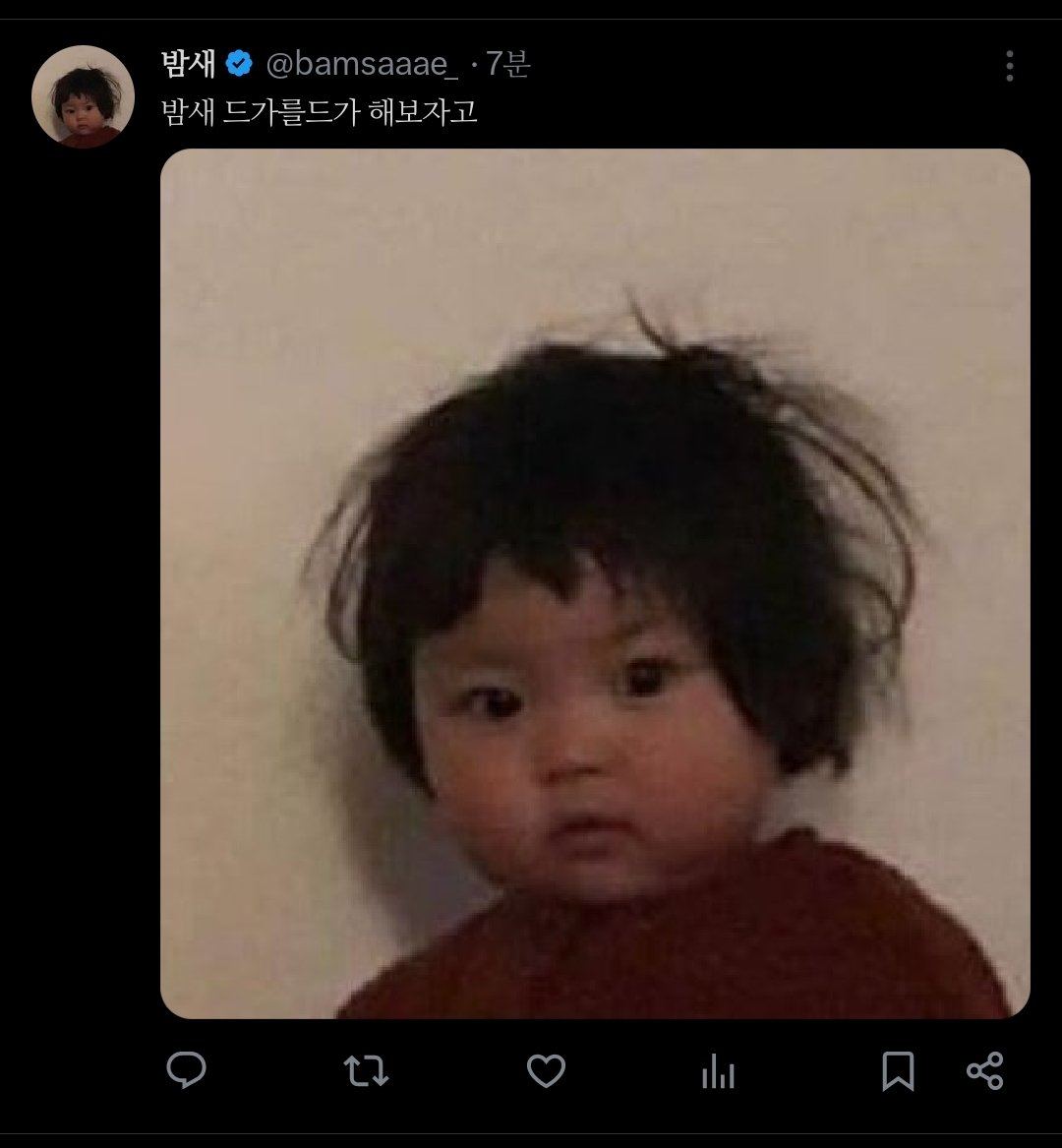 또밤새 tweet media