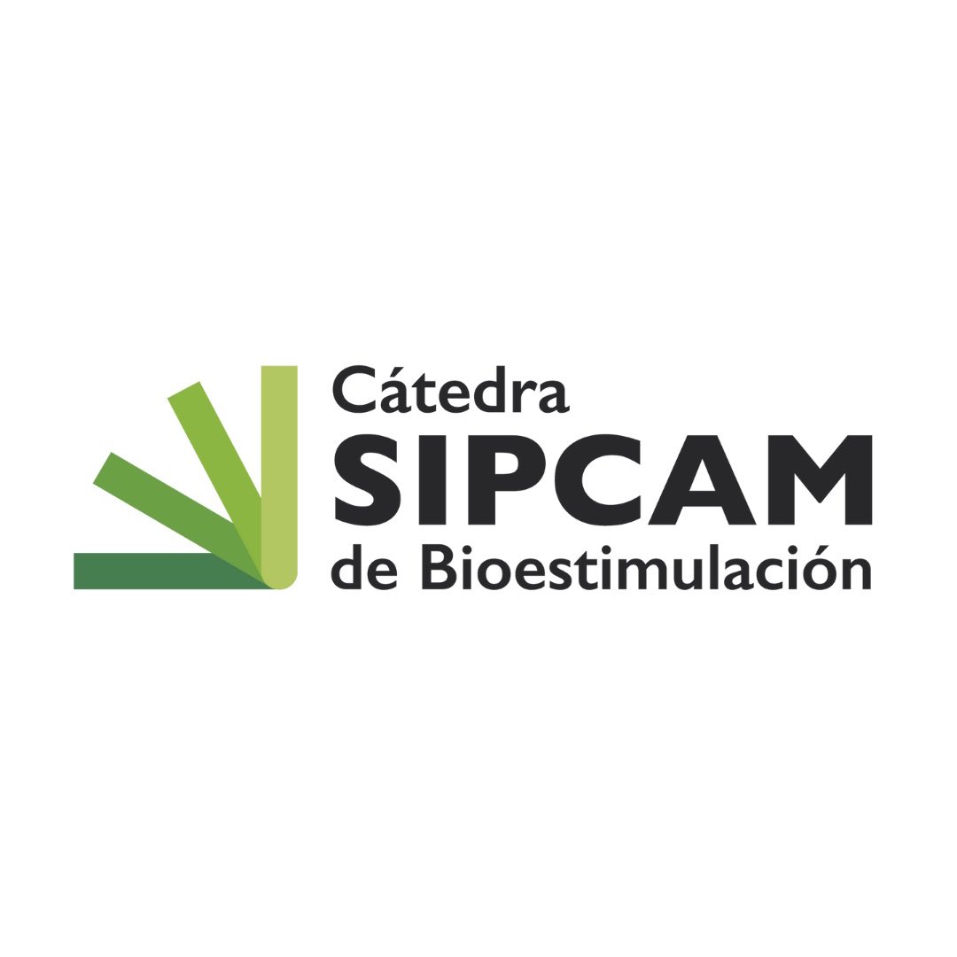 CatedraSipcam's tweet photo. 🗣️ Desde la Cátedra @sipcamiberiq seguimos generando conocimiento aplicado directamente en campo, acercando la innovación al sector agrícola.

#Olivar #Bioestimulación #SipcamIberia #UniversidaddeCórdoba https://t.co/gjcsh320zR